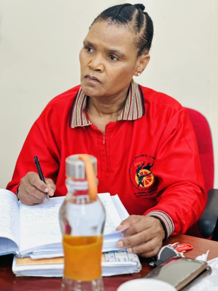 _cosatu's tweet photo. #COSATU holds a Provincial Consultative Workshop on development of COSATU's position on #MaternityProtection at Bloemfontein #Back2Basics #ClassStruggle @ILOACTRAV https://t.co/TRNspKxSCf