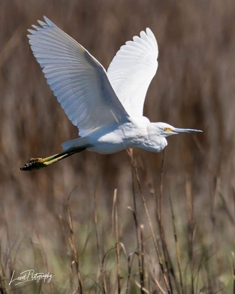 Dr.Tőke Anna (@drtkeanna1) on Twitter photo 