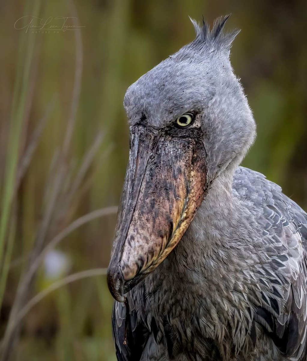 Dr.Tőke Anna (@drtkeanna1) on Twitter photo 