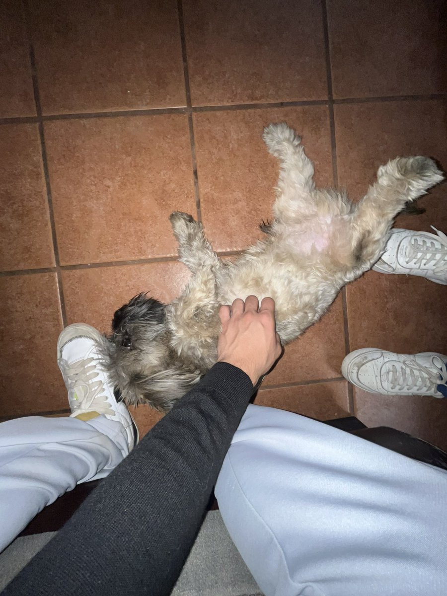 21ismaa's tweet photo. extraño a mi feo estupido sarnoso😪 https://t.co/WdtQ1XIGxE