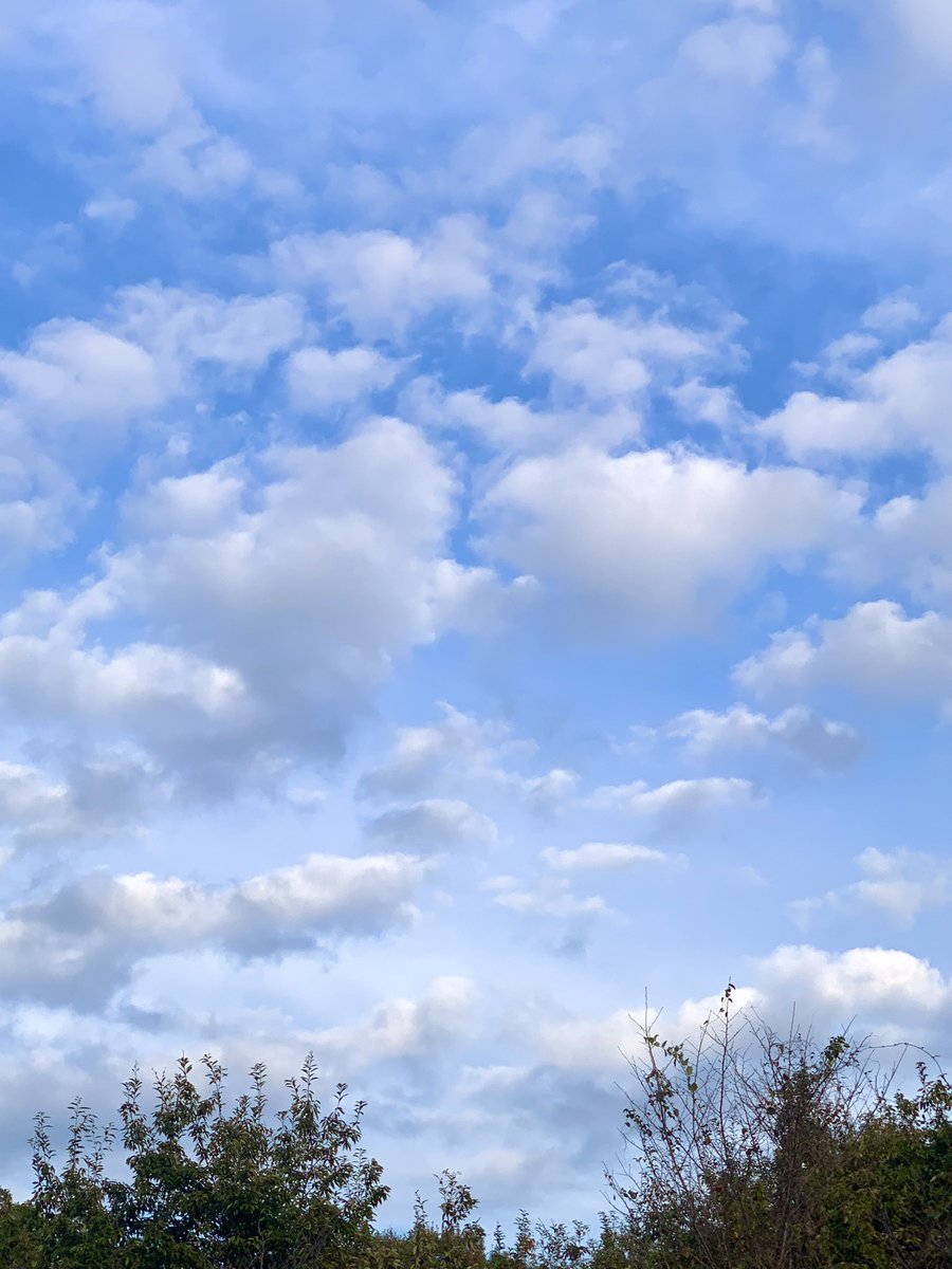 ulalanana4649's tweet photo. 今日のお空☁️
#キリトリセカイ ＃空 #さんぽ #カメラ好きな人と繋がりたい https://t.co/fUQ9d4HIyw