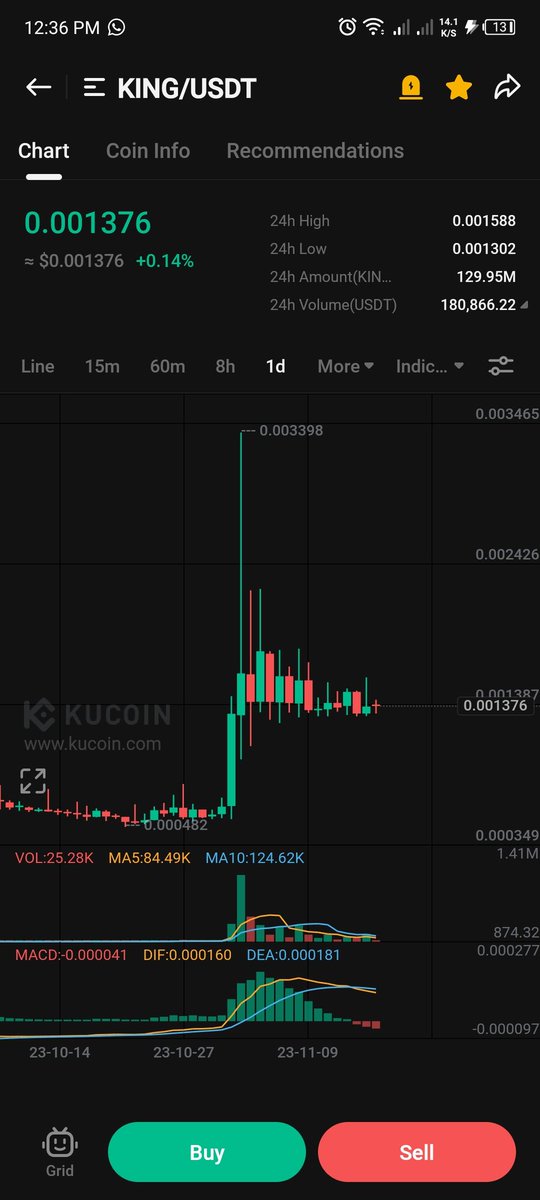 Bull Rider tweet media