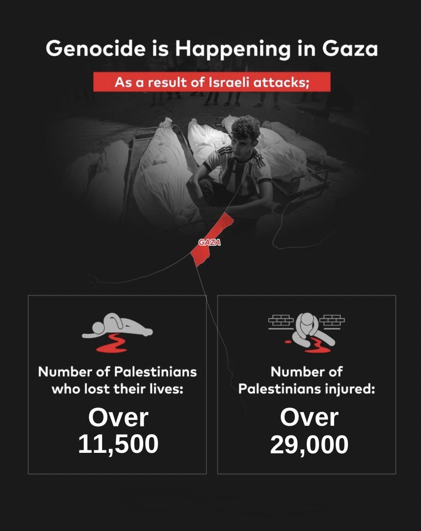 AAInfographics's tweet photo. #Genocide is Happening in #Gaza , #Palestine ! (16.11.2023)

#SaveGaza https://t.co/NzinreDUDz