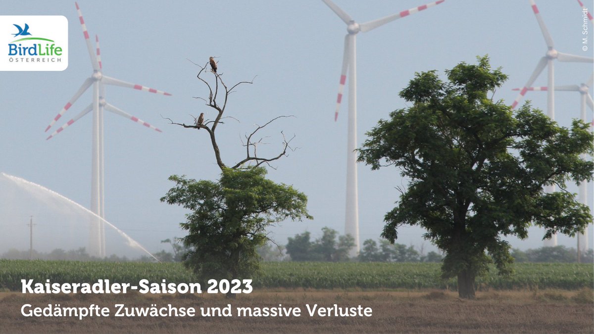 BirdLife Österreich tweet media