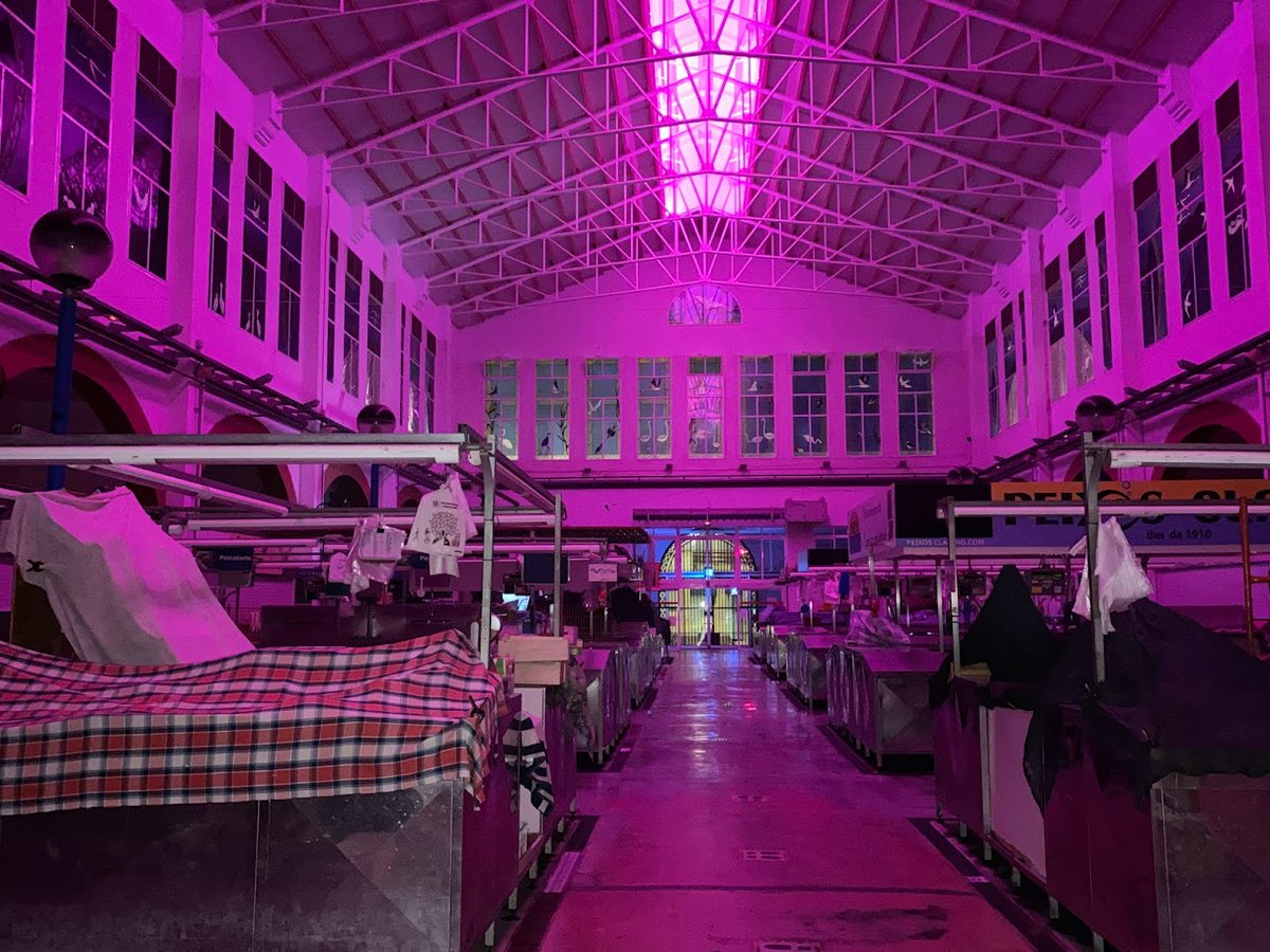 Ajuntament d'Amposta (@ajamposta) on Twitter photo 🟣 COMMEMORACIONS | El 17 de novembre és el Dia Mundial de la Prematuritat, fet pel qual el mercat està il·luminat de lila.
Es considera que un nounat és prematur quan neix abans de la setmana 37 de gestació. A l'Estat, 1 de cada 10 parts són de manera prematura.
<a href="/SomPrematurs/">SOM Prematurs</a> 🟣 COMMEMORACIONS | El 17 de novembre és el Dia Mundial de la Prematuritat, fet pel qual el mercat està il·luminat de lila.
Es considera que un nounat és prematur quan neix abans de la setmana 37 de gestació. A l'Estat, 1 de cada 10 parts són de manera prematura.
<a href="/SomPrematurs/">SOM Prematurs</a>
