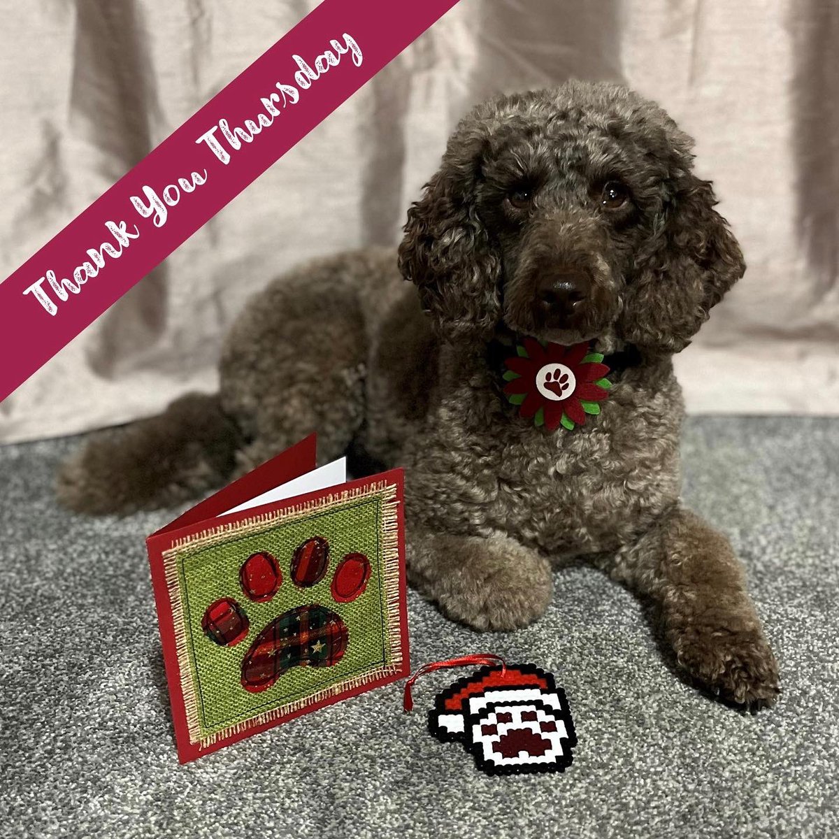 Thank you to Sarah & Hearing Dog Albert for our gorgeous card and tree decoration. @321SaZ123 has been selling cards & decorations to raise money for Hearing Dogs, they’ve now sold out & raised £1000 - incredible! Sarah’s story: hearingdogs.org.uk/blog/potm/hear…

#charity #assistancedogs