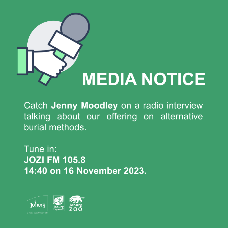JoburgParksZoo's tweet photo. Join @GJMo on @jozifm as she unpacks the alternative burial methods. Tune in for an enlightening conversation that goes beyond traditional norms. ποΈ #AlternativeBurials #ABM #JCPZServices https://t.co/3aOwyrPwUZ