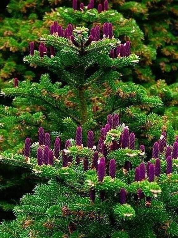 Dr.Tőke Anna (@drtkeanna1) on Twitter photo 