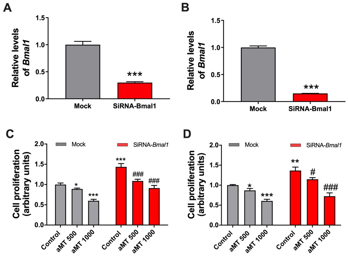 🌟Our Interesting Paper🌟

📚The Relationship between #ClockGenes, Sirtuin 1, and Mitochondrial Activity in #HeadandNeck Squamous Cell #Cancer  : Effects of #Melatonin Treatment

🔗mdpi.com/2512616

👨‍🔬 By Prof. Germaine Escames et al.

<a href="/MDPIOpenAccess/">MDPI</a>
<a href="/MDPIBiologySubj/">MDPI Biology</a>