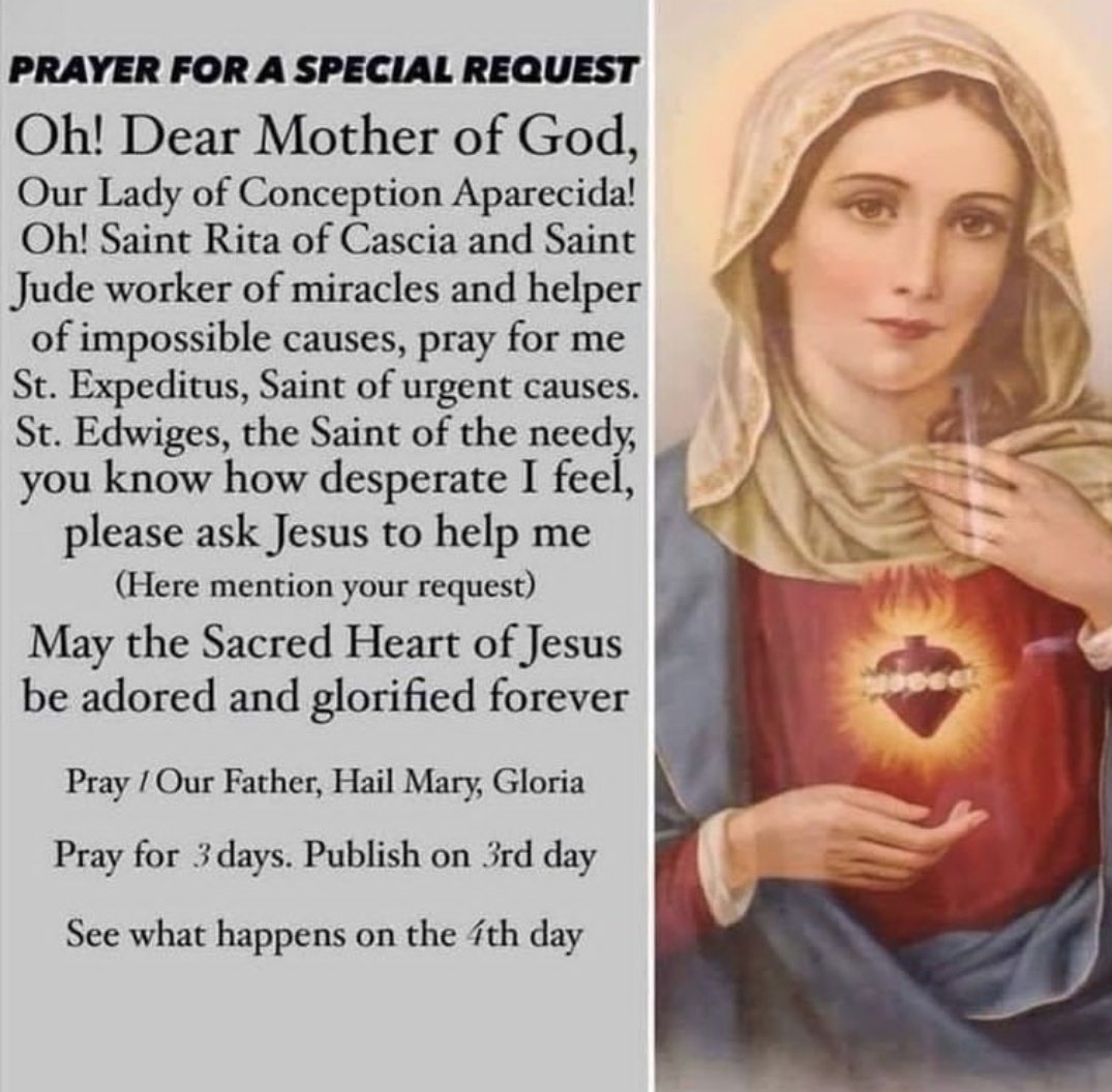 millie_melrose's tweet photo. ❤️ #pray #ourlady #catholicprayers https://t.co/YY2tuR5VX4