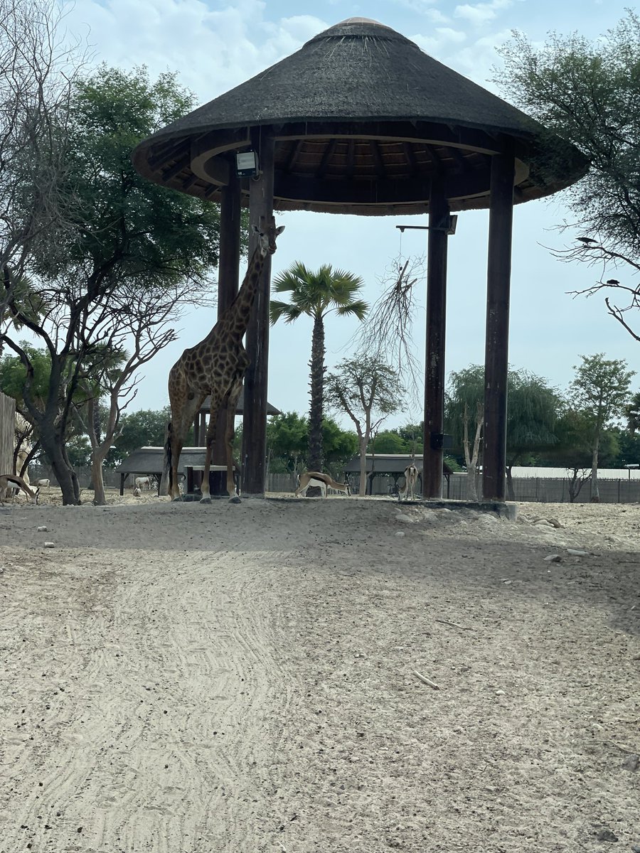 Matt Parums tweet media