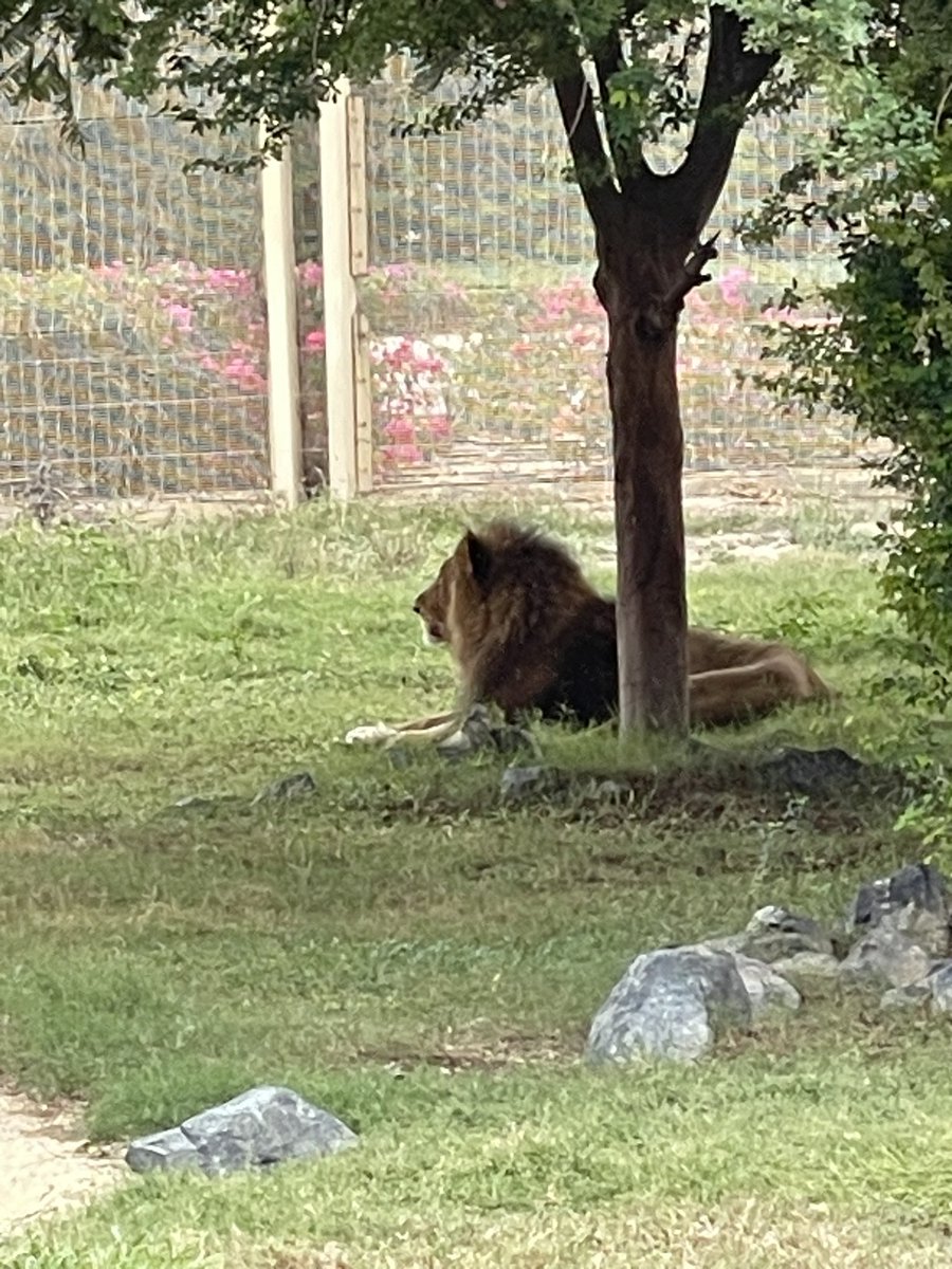 Matt Parums tweet media