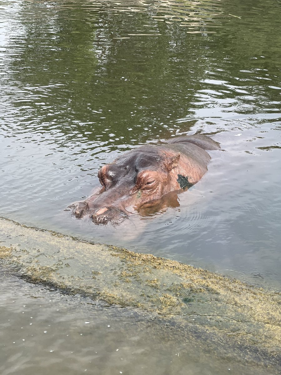 Matt Parums tweet media