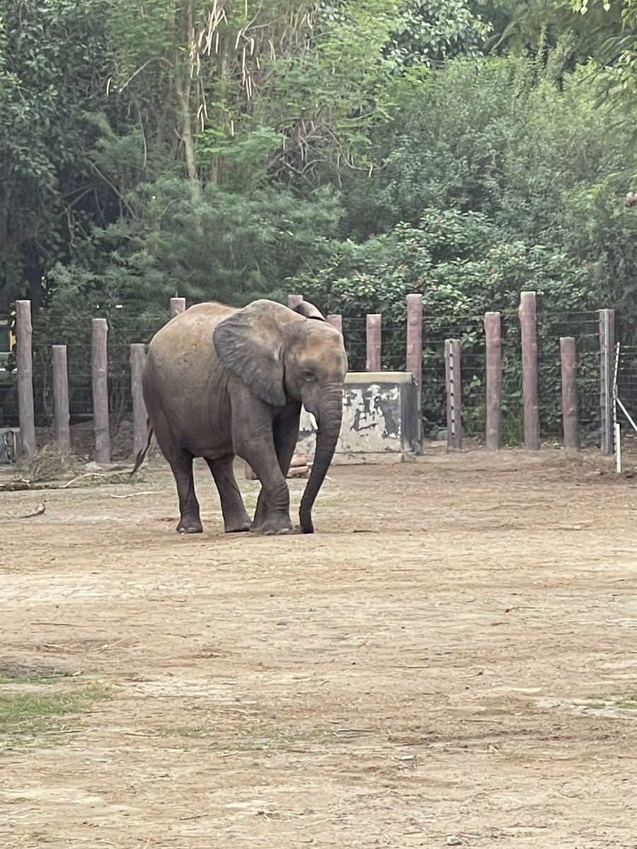 Matt Parums tweet media