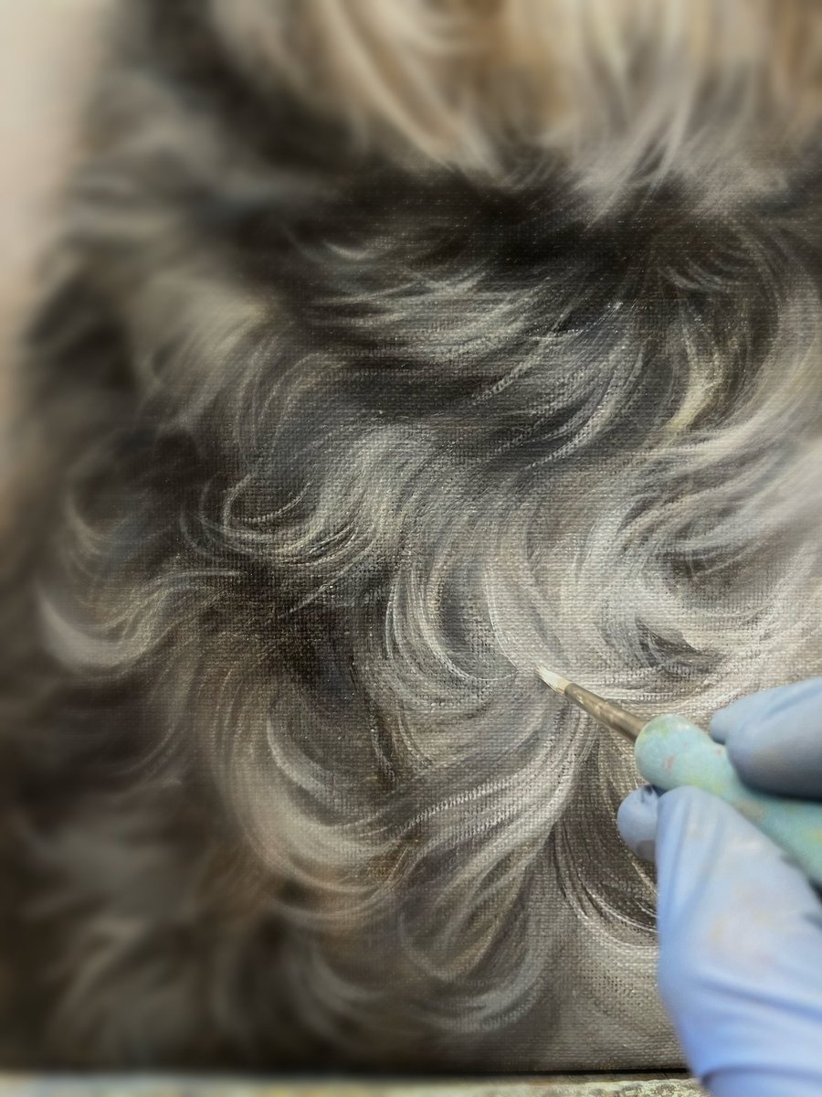 MarjoleinKruijt's tweet photo. Painting fur | vacht schilderen #kunst #kunstenaar #portretkunst #animalportrait #digart #art https://t.co/YikWrul8n5