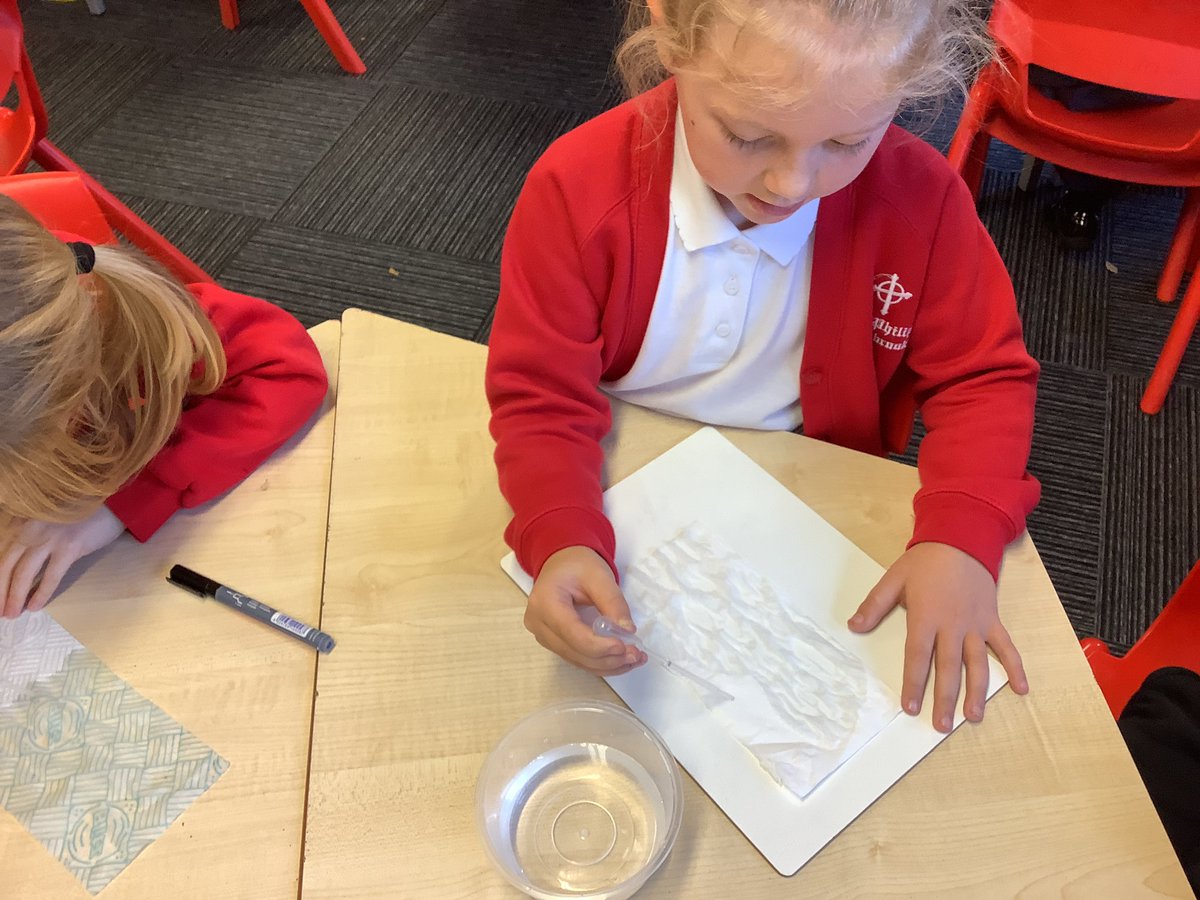StPhilipsY2C's tweet photo. In Science this week, we have been testing the absorbency of different paper towels and tissues to see which would be the best to dry a spilt drink. We tested how much water it would hold and how dry the table looked after. #teamstphilips @StPhilipCEAP https://t.co/lsUR4YZvIY