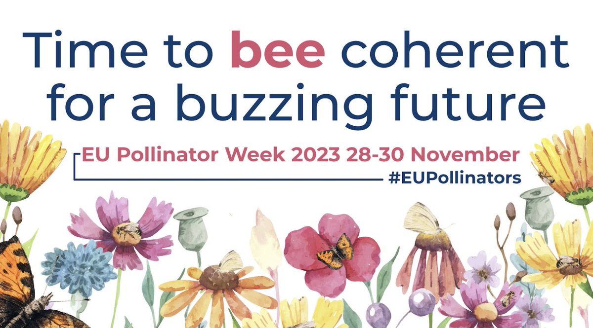 Have you registered to the #EUPollinatorWeek 2023 🐝🇪🇺🦋? On Nov 28-30, we will have three days of in-person and online discussions on the issues surrounding pollinators and their role in healthy ecosystems!
Find the full programme and register now at eupollinatorweek.com