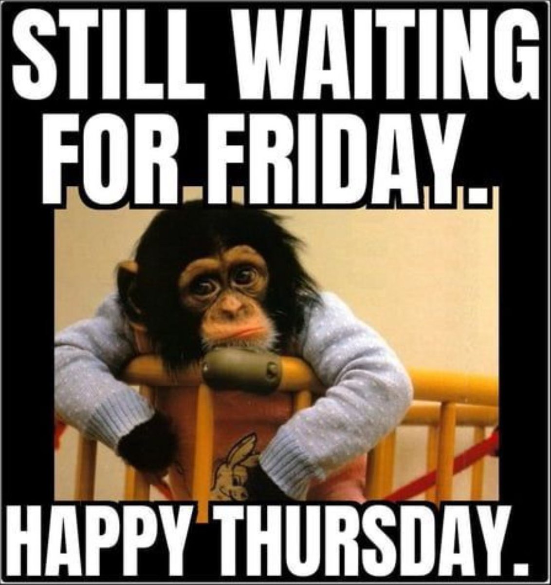 007_ants's tweet image. To all my Twitter friends, I hope you have a great day whatever you get up to take care/keep safe👌🏼#KeepStrong #BeKind #MakeSomeoneSmile👍🏼