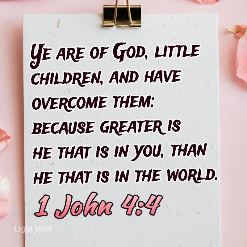 Davidsion Frank (@davidsionfrank) on Twitter photo 