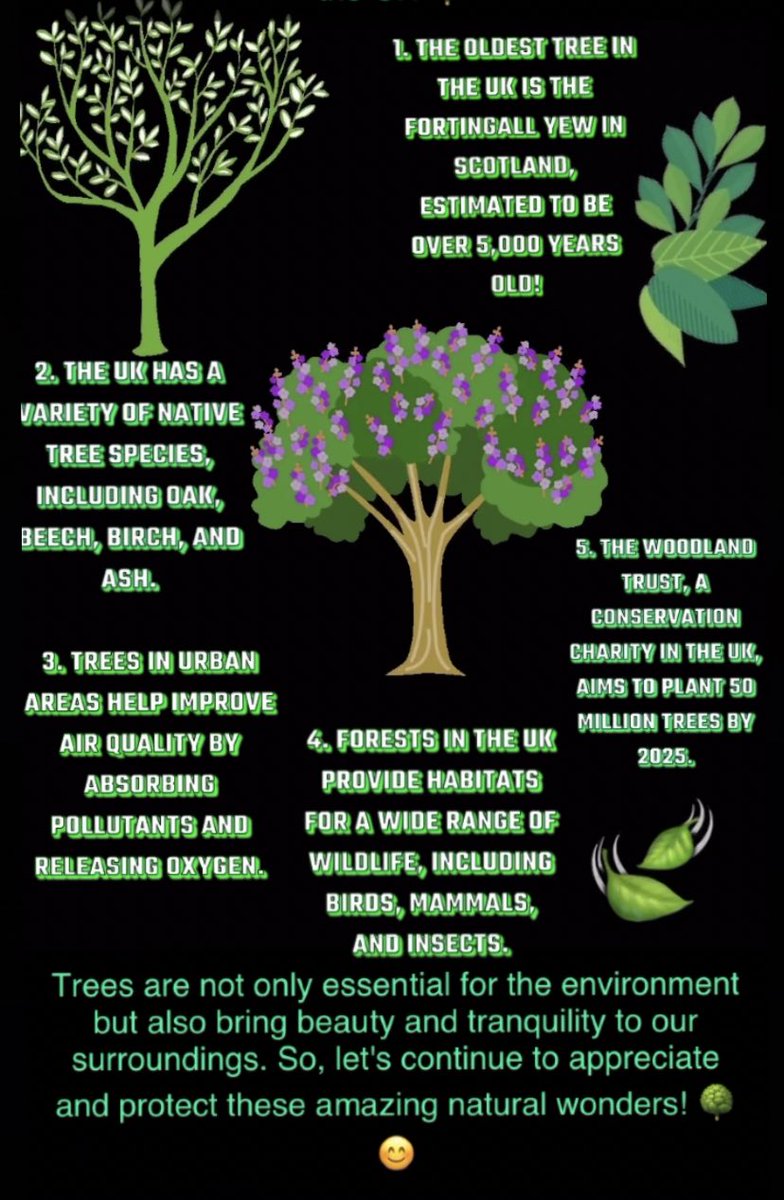EcoHomesDirect's tweet photo. #tree #TreeClub #TreePlantingDay #sustainable #ecofriendly #ecohomesdirect 🌳🌳 https://t.co/2oTy3J6lGJ
