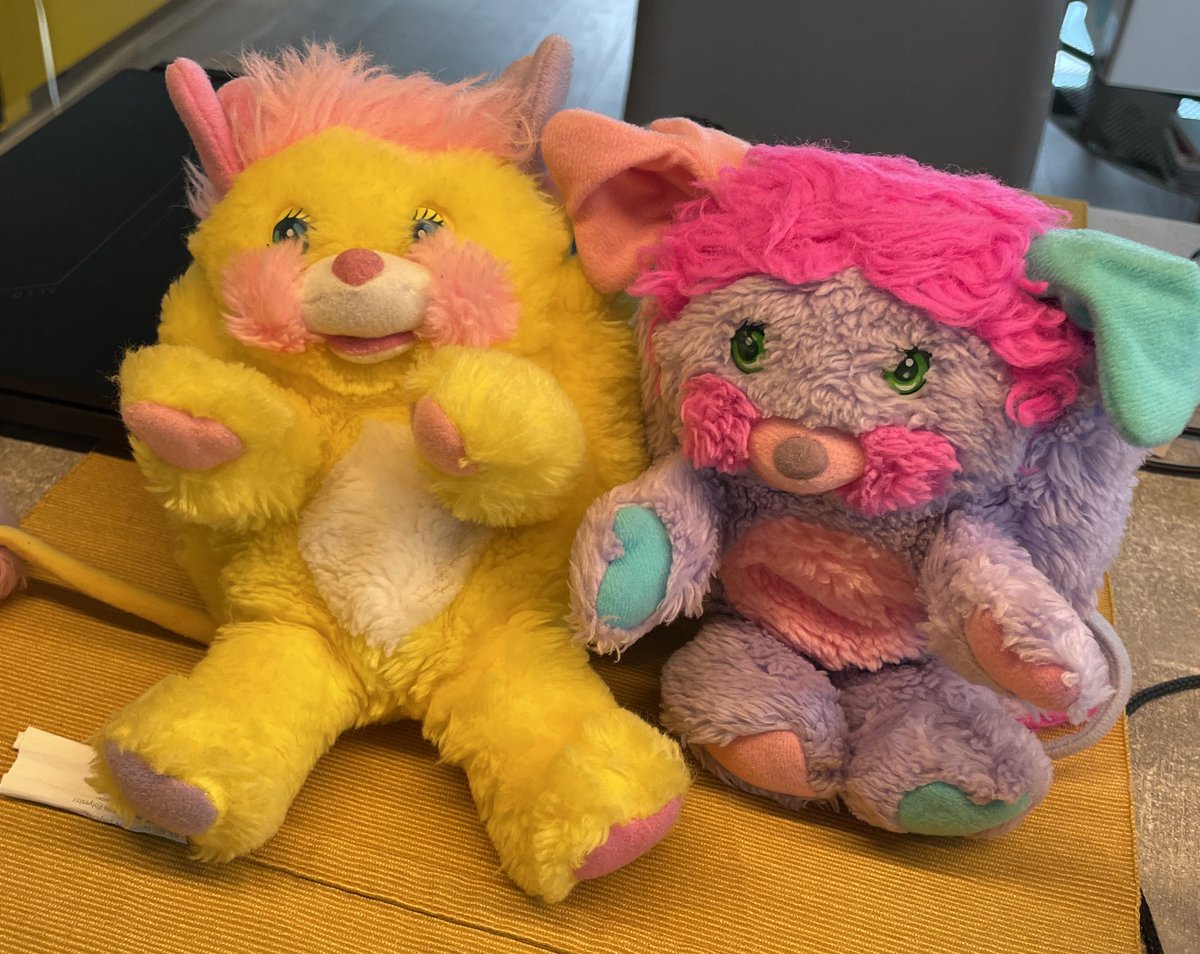 Meine neuen Mitbewohner. Und ja, ich hab nicht alle Tassen im Schrank. ☺️