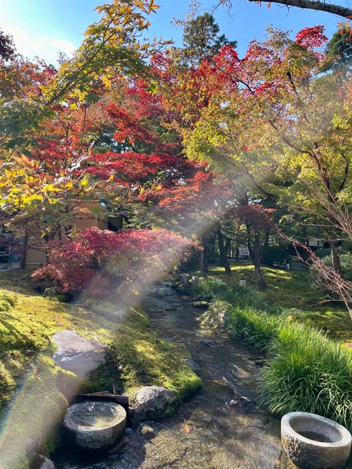 京都の紅葉をお届けに参りました!! 