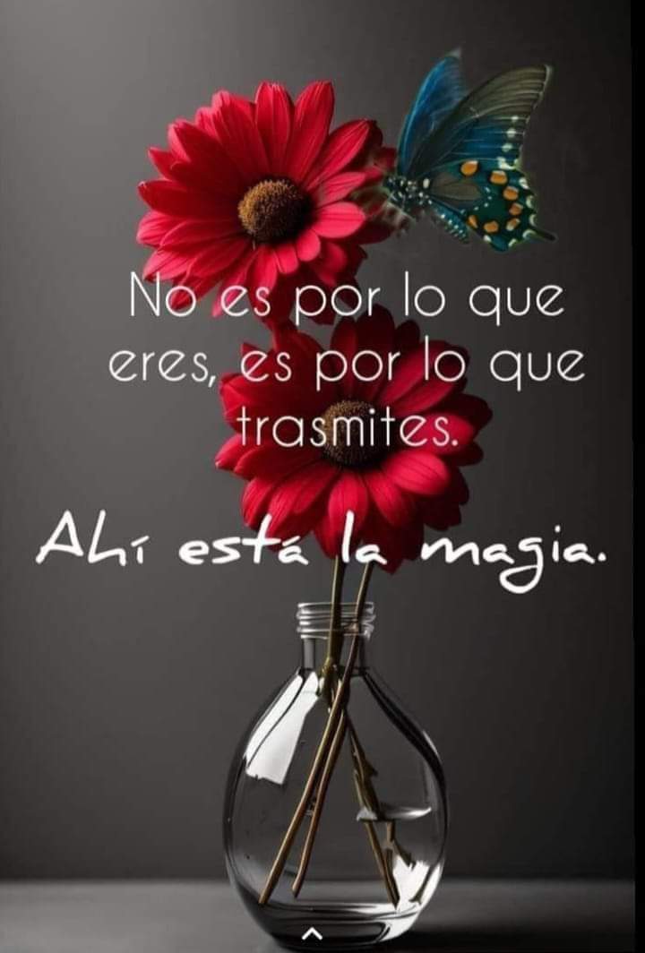 VidaEquilibrada (@vidaequilibrad4) on Twitter photo 
