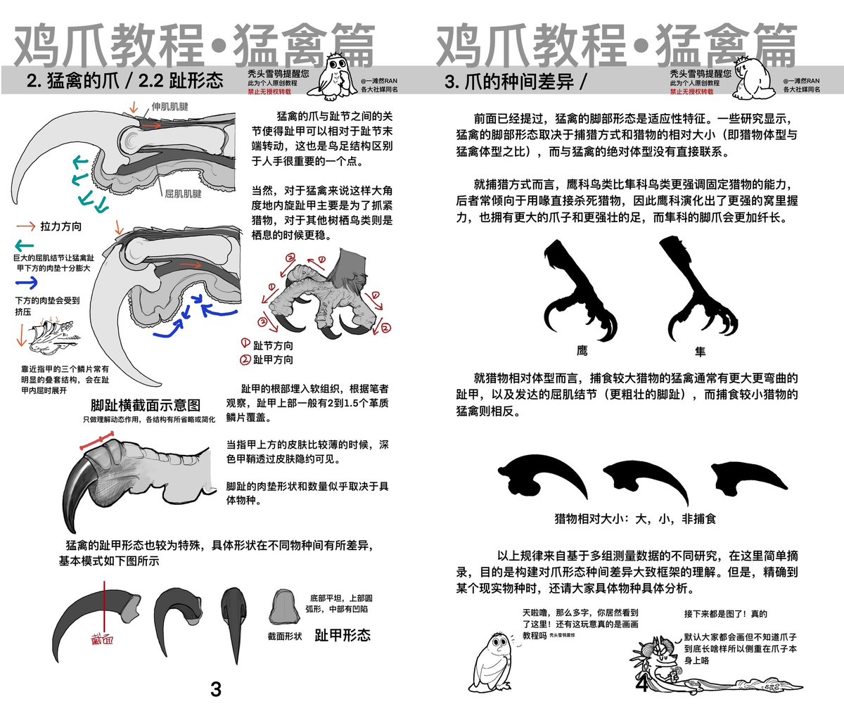 yitanran's tweet photo. I made a tutorial on drawing bird of prey's foot. Wondering whether an English version is needed haha, since Chinese seems to be not so common here https://t.co/bRV8OwdcXS