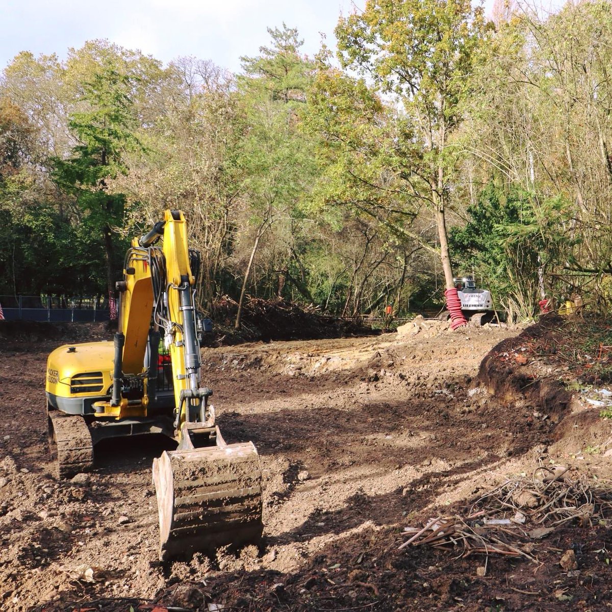 oclodong's tweet photo. À Yerres, les travaux de renaturation de l’Île Panchout avancent. La démolition et le retrait du bâtiment en ruine sont à présent terminés. L’aménagement du terrain ainsi rendu à la nature a débuté, sous les regards étonnés de nos vaches écossaises. #Yerres #nature #Syage https://t.co/3mn5nNPpnb