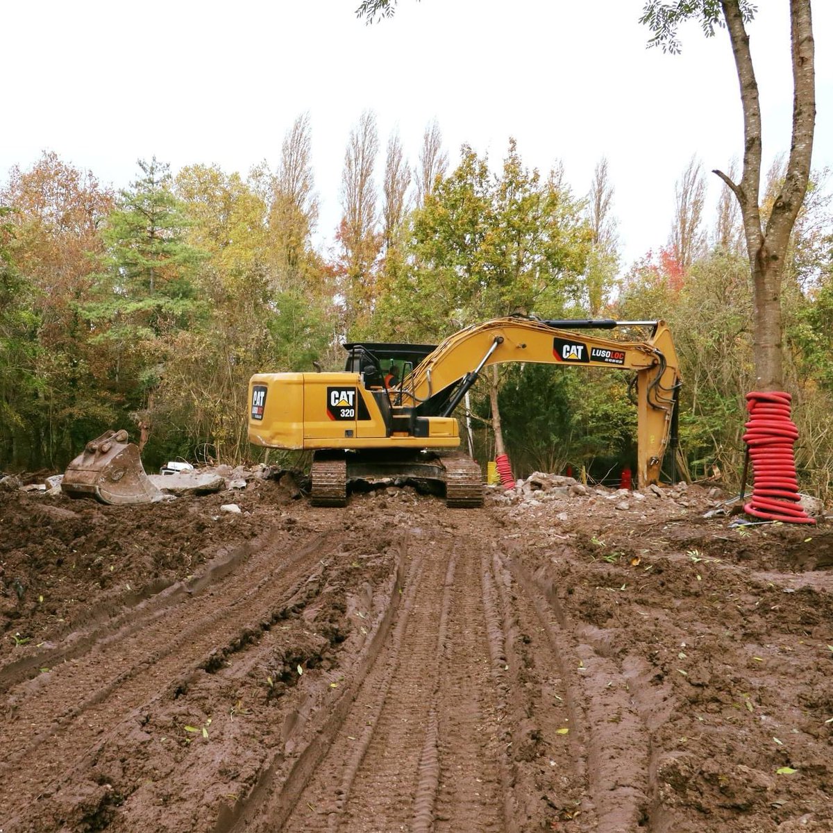 oclodong's tweet photo. À Yerres, les travaux de renaturation de l’Île Panchout avancent. La démolition et le retrait du bâtiment en ruine sont à présent terminés. L’aménagement du terrain ainsi rendu à la nature a débuté, sous les regards étonnés de nos vaches écossaises. #Yerres #nature #Syage https://t.co/3mn5nNPpnb