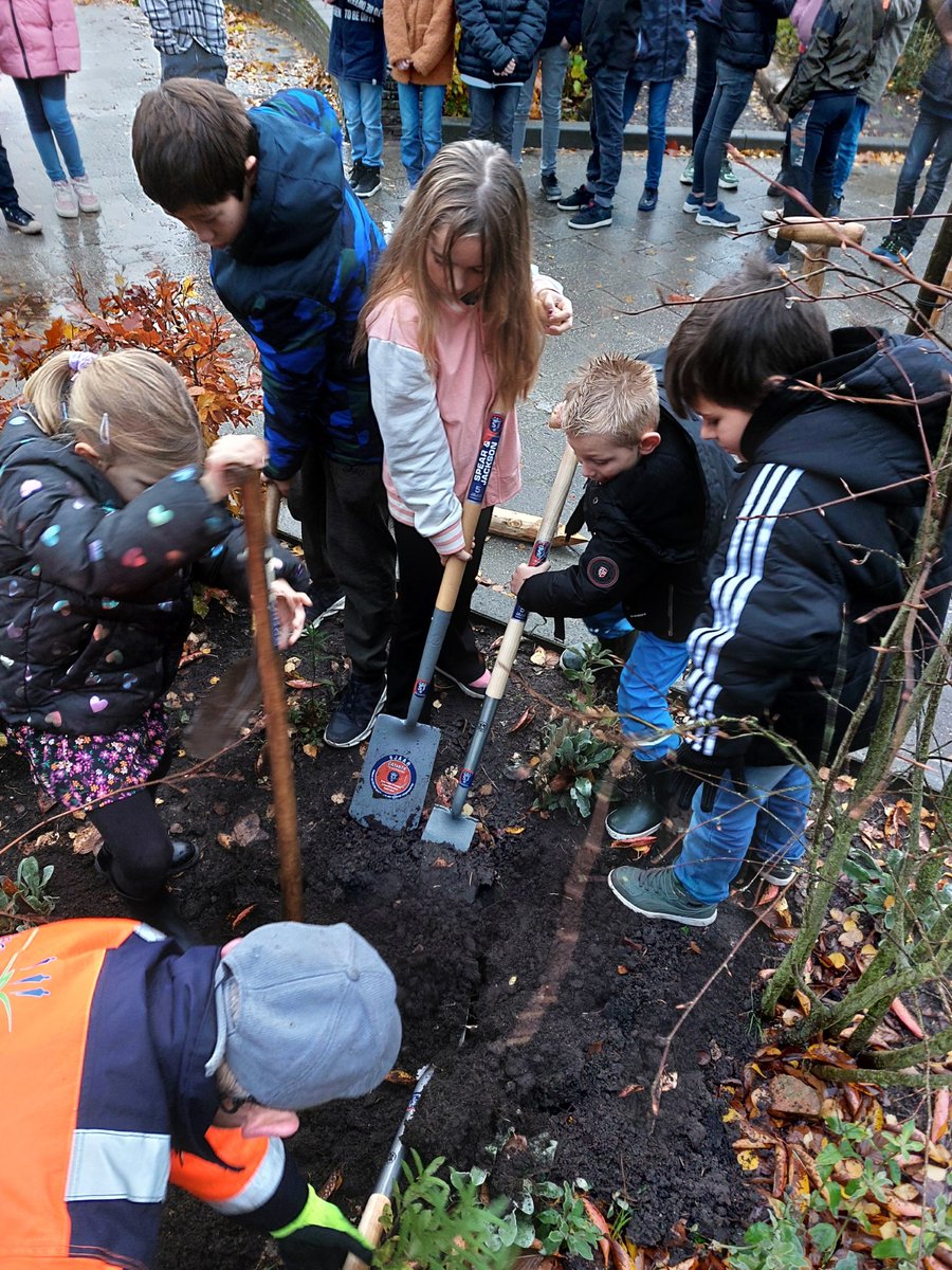 Gisteren hebben #leerlingen van 3 #basisscholen uit @Steenwijkerland bomen op hun #schoolplein geplant tijdens #Boomfeestdag. Kinderen die opgroeien in groen #bewegen meer, ervaren #minderstress, ademen #gezonderelucht in, hebben betere #concentratie en meer #sociaalcontact