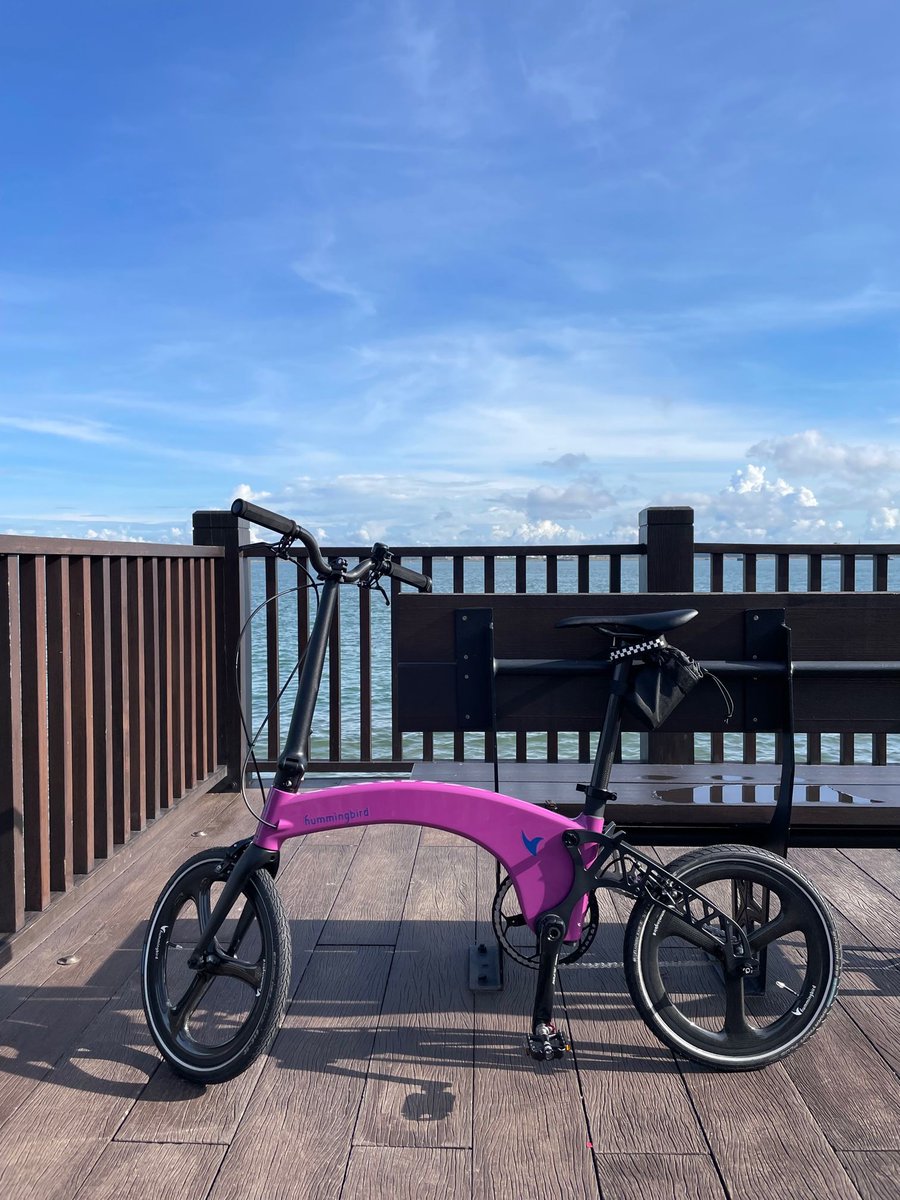 Hummingbird Bike tweet media