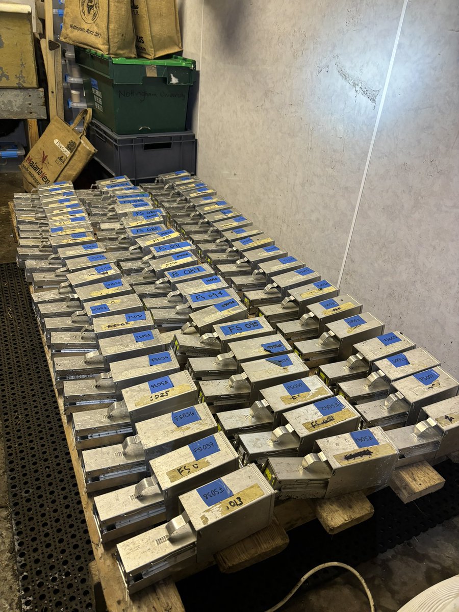 We are on the Isle of May at the moment - this ecoimmunology BBSRC PhD studentship will take you there to explore the enigmatic chitinase-like proteins in wild mice. With me, <a href="/ProfJudiAllen/">Judi Allen</a>, <a href="/Mair_Iris/">Iris Mair</a> and @amybpedersen Apply at findaphd.com/phds/project/b…