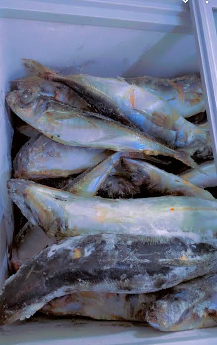 Julius_Chinwe_'s tweet photo. I'm an actor and I sell frozen foods as my main hustle. If you're in Badagry and environment please patronize me.

And if you're interested in promoting yourself as an upcoming actor like me, you're in Lagos and can make it for shootings when necessary hit me up. https://t.co/UwAWZ7eNHY