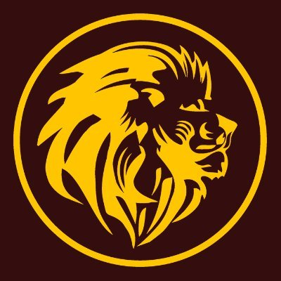 Texas HS Sports tweet media