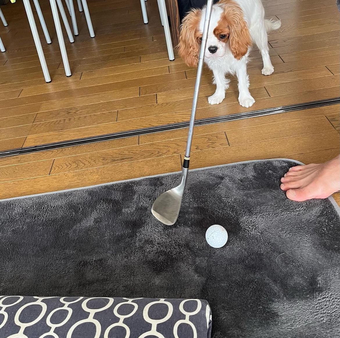seirapics's tweet photo. 🐶⛳️

#seiragram #早川聖来 https://t.co/fasQrWXt8J