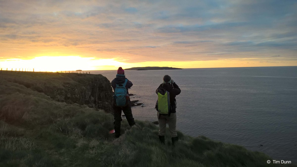 JNCC_UK's tweet photo. #SeabirdsCount is the most comprehensive survey of Britain and Ireland’s seabirds in 20 years https://t.co/Uzgk1TTIWr

Led by JNCC &amp; partner organisations, the book estimates population numbers for 25 of our regularly breeding seabirds #TogetherForNature https://t.co/ZgABVIn1uw