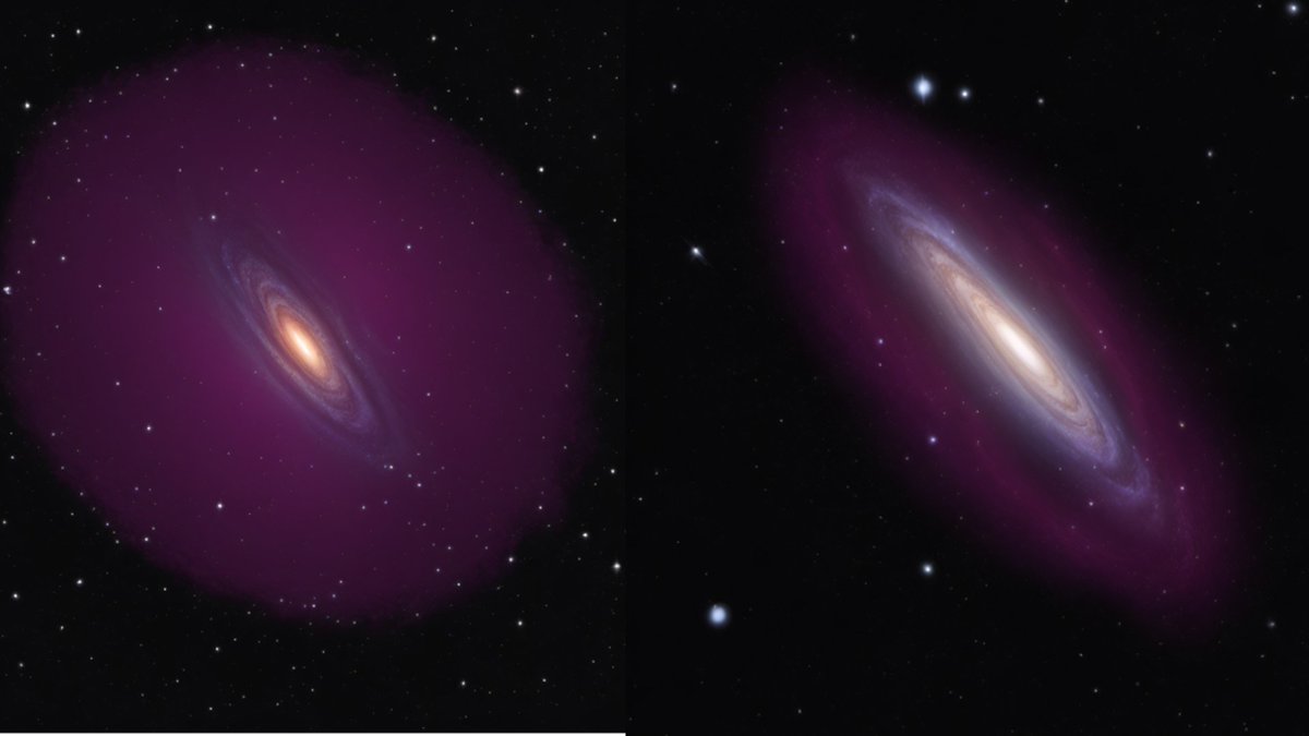 In a recent study, a group of researchers at CREF, led by Francesco Sylos Labini, introduced the dark matter disk model, reshaping our interpretation of the dynamics of disk galaxies.