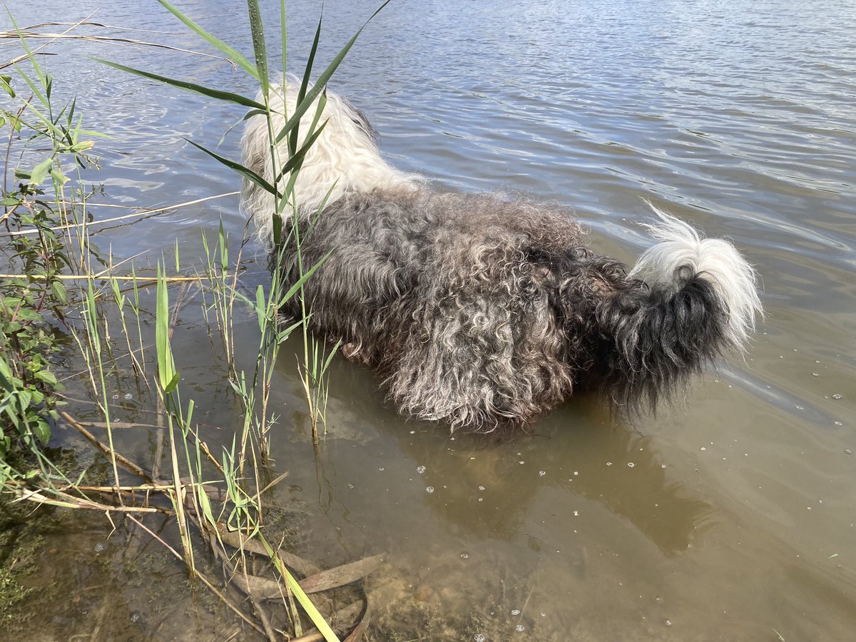 <a href="/VerseleLaga/">Versele-Laga</a> Als je door de weerspiegeling zakt