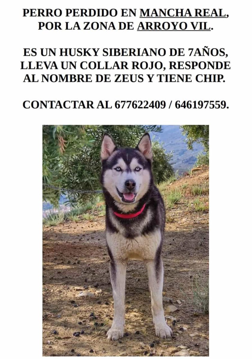 Compartid porfi, tiene que aparecer‼️‼️‼️