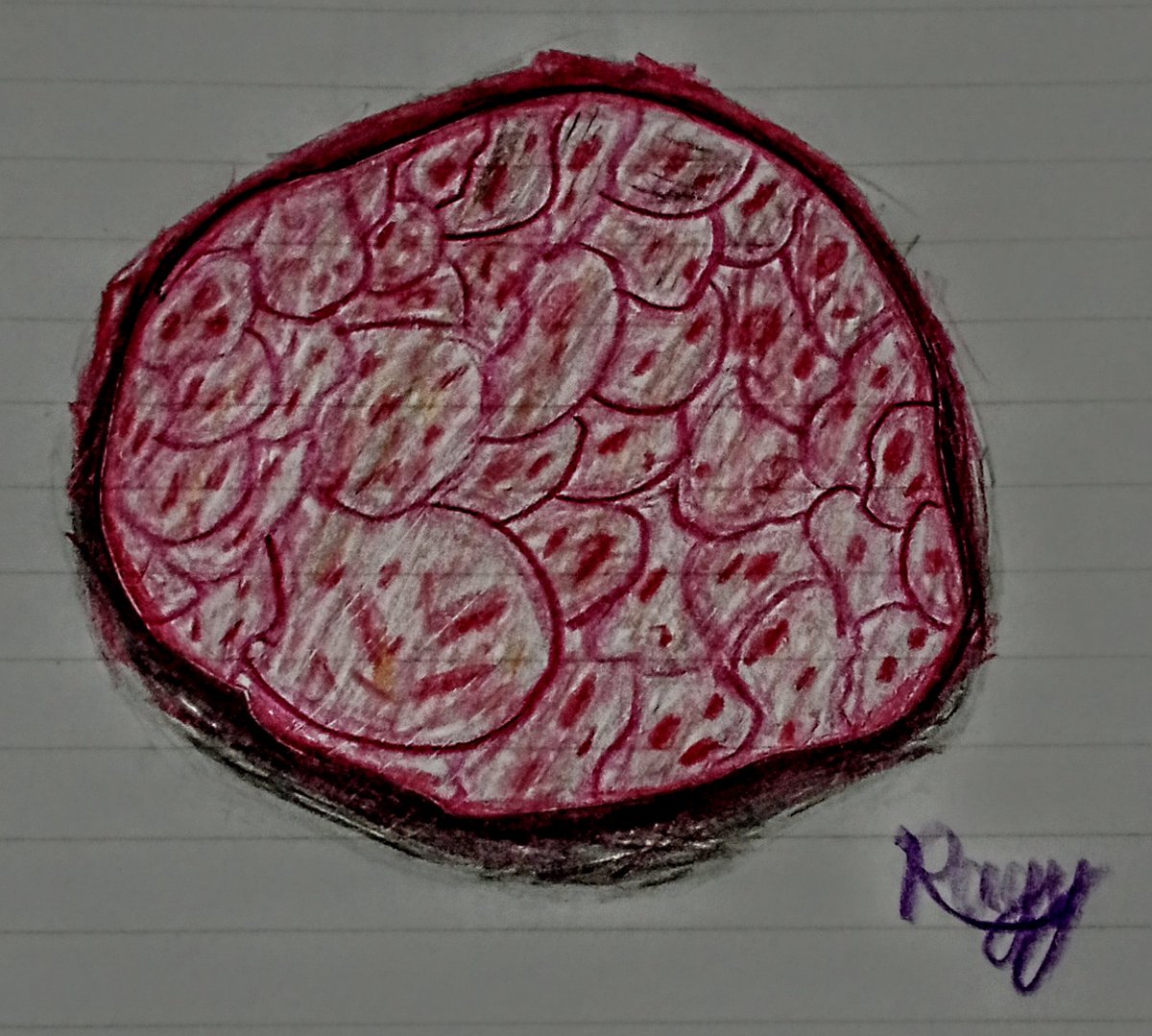 RagyCh's tweet photo. [題名]11月9日の気持ち
＃Ragy ＃この世界観に惚れろ #絵師さんと繋がりたい ＃絵師さんフォロバ100 ＃落書き ＃お絵描き https://t.co/pfktGCJEbz