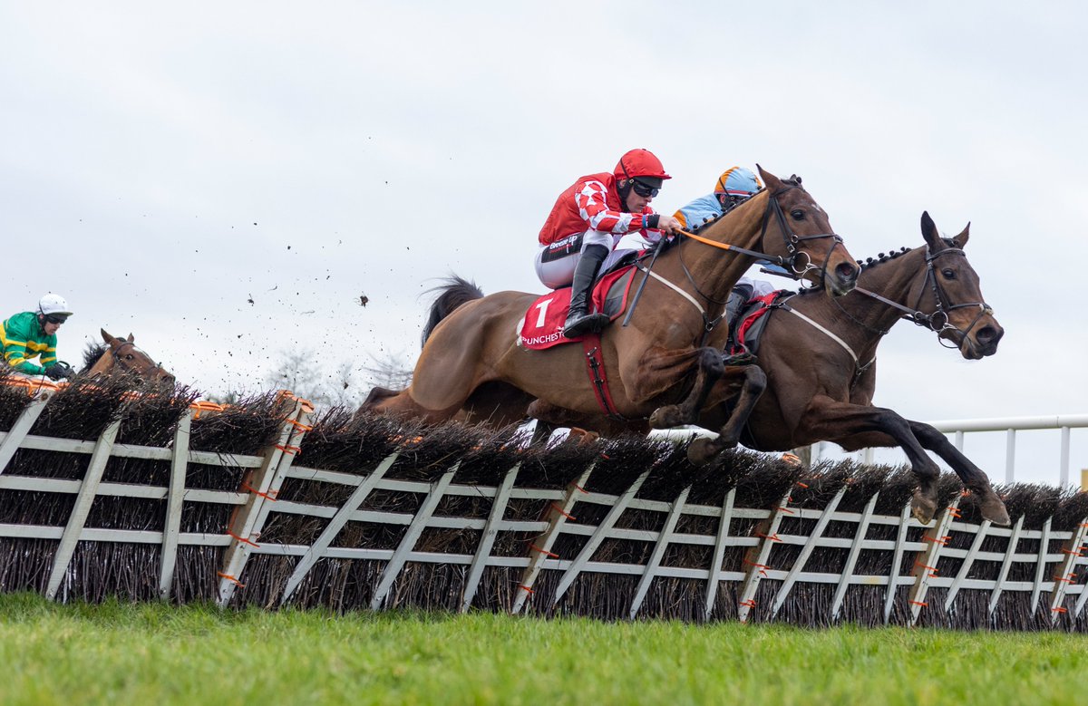punchestownrace's tweet photo. 🏇Racing Today🏇
⏰First to post 12.20pm
😍@Ladbrokes @REDMILLSHorse @IrishEBF_ Sponsor
🎟️€15/€10 Students &amp; Seniors
👉FREE Card https://t.co/R6b2VLyTrx #SeeYouThere https://t.co/dYY2AGnLQk