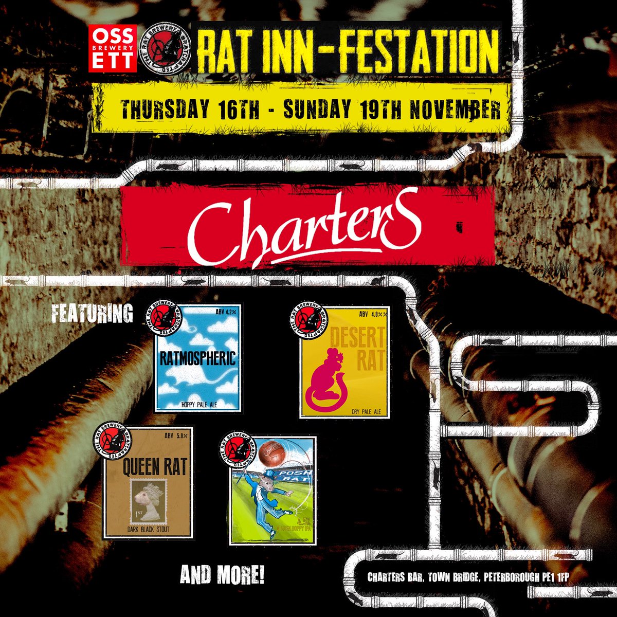 TWO...that's right TWO Rat Inn-Festations starting today! 

Featuring lots of great rat beers on the bar 🍻 

Where to visit ⬇️
<a href="/clitheroeale/">Ale House Clitheroe</a> Clitheroe, BB7 2DA
<a href="/ChartersBar/">ChartersBarPeterboro</a> Peterborough, PE1 1FP

If you are in the area, make sure you pop by and get your rat fix 🐀🍺