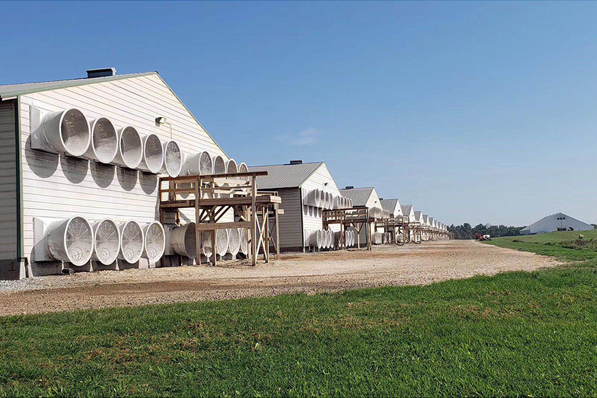 LiviCage's tweet photo. 🐔✨ Unlock the Secrets of Successful Poultry Farming in Uganda with LIVI Mechanical Poultry Equipment! 🌱🏡
https://t.co/YO0SkbV789
#Uganda #poultryfarming #chickencage #eggproduction #poultryfarmdesign #batterycage #cage #chicken #chickensheddesign https://t.co/DUuDkApPXe