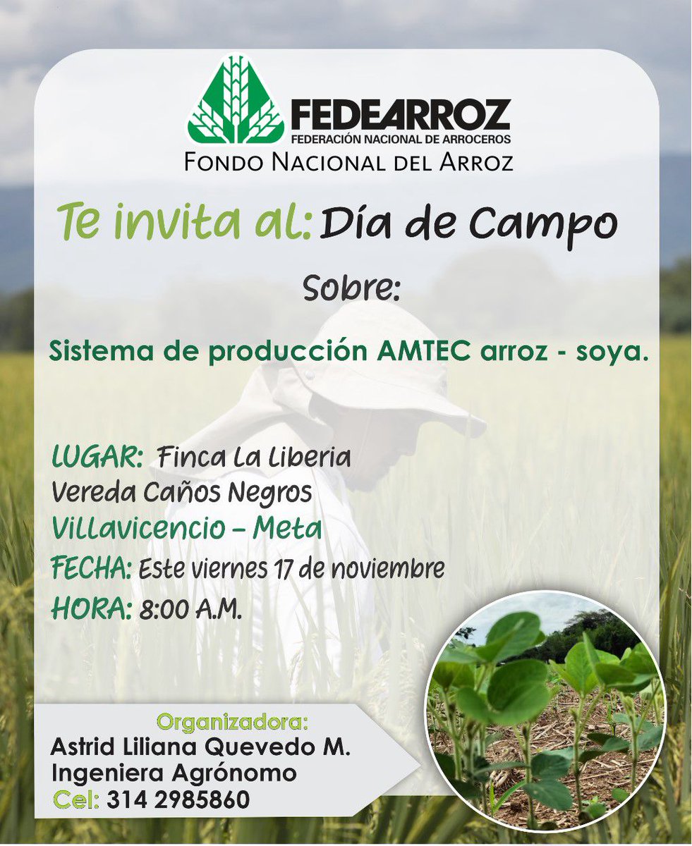 arrozFLAR's tweet photo. #Prográmate | Si te encuentras en #Villavicencio🇨🇴, únete al día de campo organizado por @FEDEARROZGREMIO, donde el sistema de producción #AMTEC #soya🌱- #arroz🌾será el tema principal

🗓️ 17 de noviembre
🕗 8:00 a.m.🇨🇴
📍 Finca La Liberia, vereda Caños Negros https://t.co/GqMvg5irty