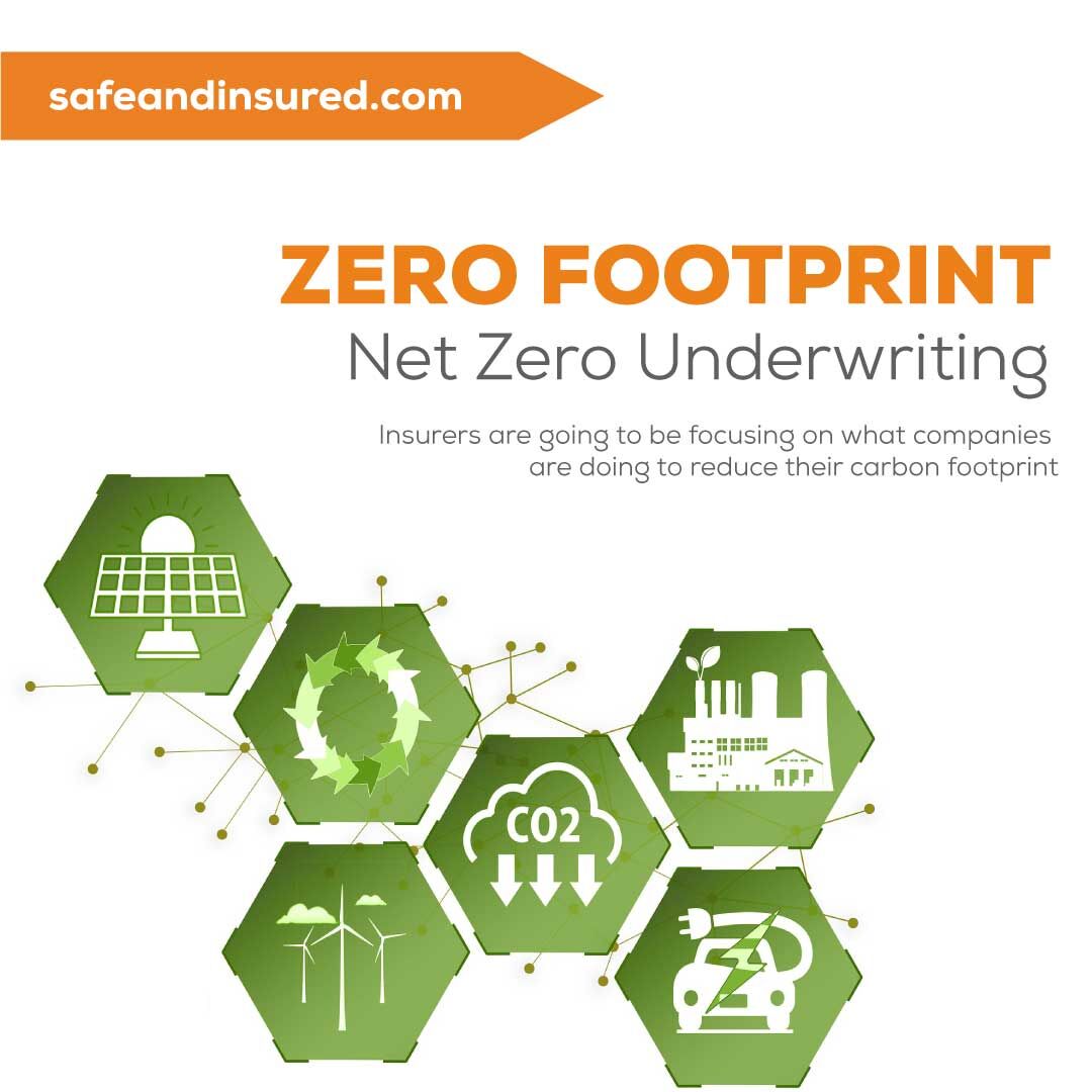 Safe & Insured tweet media