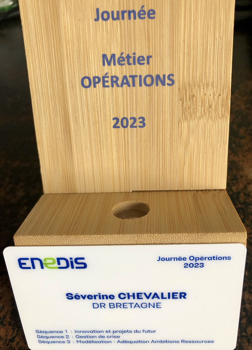 Avec quoi je suis revenue de la Journée Opérations <a href="/enedis/">Enedis</a> ? Avec de l’énergie partagée avec mes homologues des autres régions pour commencer (merci à vous tous !). Et des perspectives, challenges, du sens portés par <a href="/H_Champenois/">Hervé Champenois</a> P Guillemet O Terral F Blanc A Dunoyer P Neumann