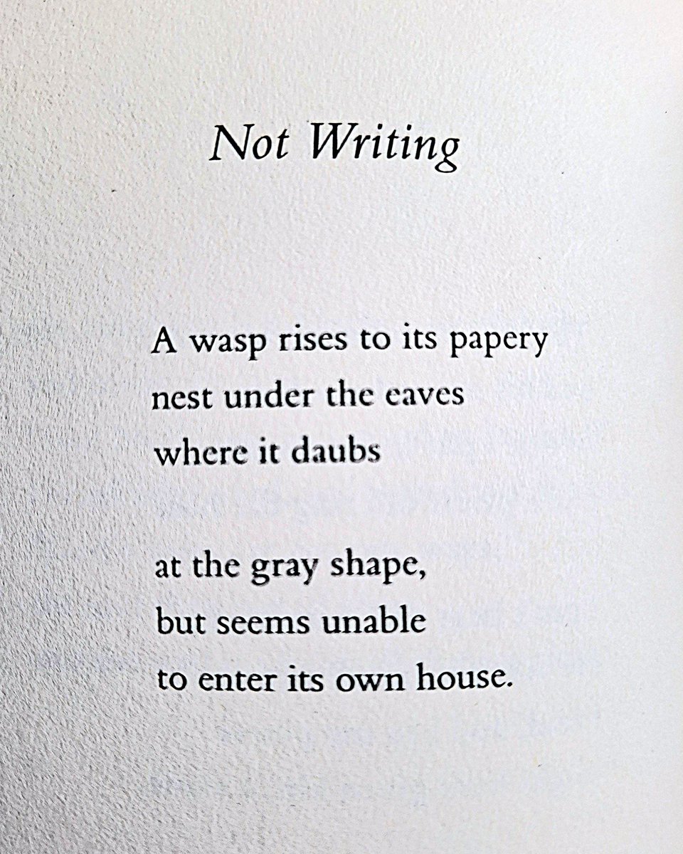 Am doing a poem-a-day with friends in November and this poem keeps coming to mind: “Not Writing “ by Jane Kenyon

#jenniferjeanwriter #writinglife #creativelife #poetry #poetscommunity #writingcommunity #bostonpoets #lilypoets #thursdaypoets #writinginspiration