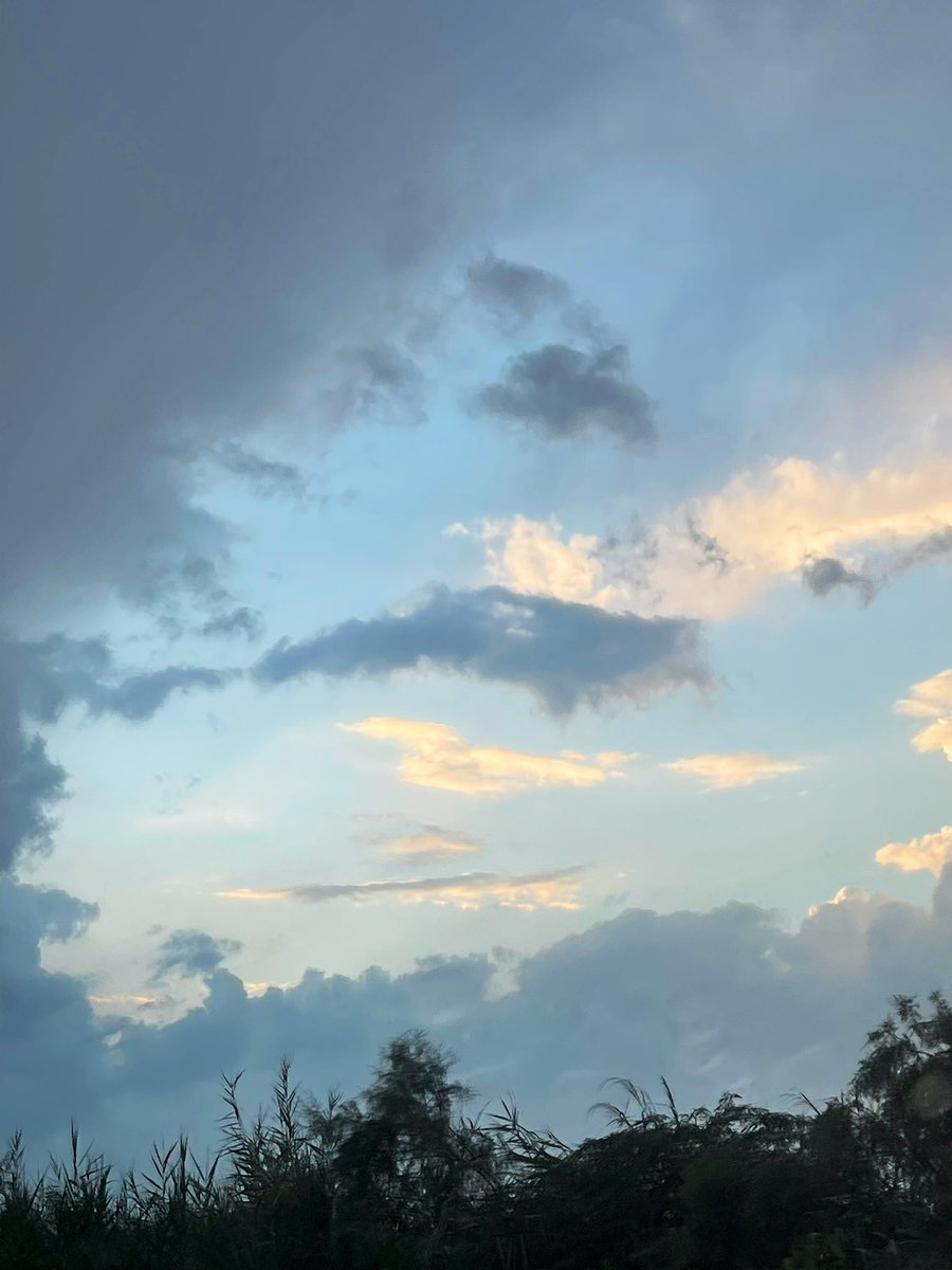 8vul1's tweet photo. اللهم صيبًا نافعاً ✨🌧️ https://t.co/rmCOaNcDOS