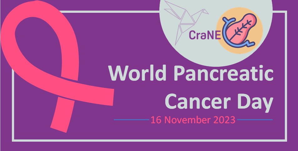👉 World Pancreatic #Cancer Day This #Awareness day is about bringing everyone together to spread the word about this disease and the need for earlier diagnosis. @OfficialPCA @PanCAN @NIH @EU_HaDEA